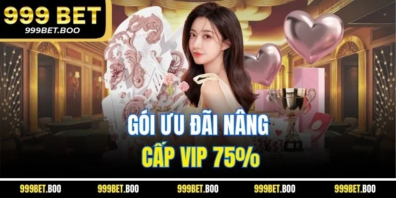 Gói ưu đãi nâng cấp VIP 75%