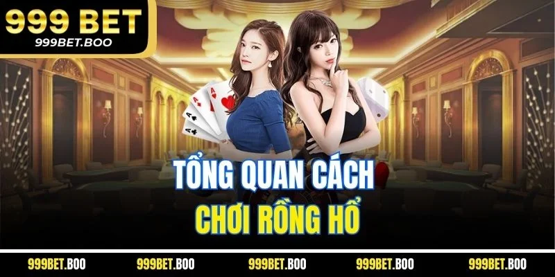Tổng quan cách chơi rồng hổ