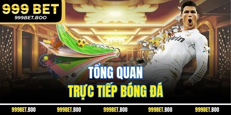 Tổng quan trực tiếp bóng đá