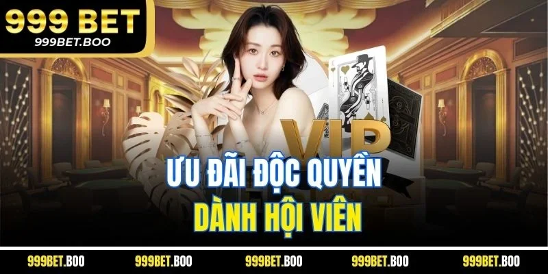 Ưu đãi độc quyền dành hội viên